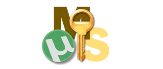 Средство для активации операционной системы Windows 10